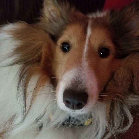 ❤️ - Picture 2 of 5